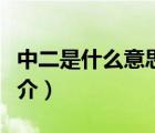 中二是什么意思（說一說中二是什么意思的簡(jiǎn)介）