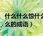 什么什么驚什么的成語有哪些（什么什么驚什么的成語）