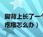 腳背上長了一個硬硬的疙瘩（腳背上長了個硬疙瘩怎么辦）