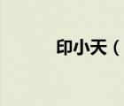 印小天（說一說印小天的簡介）