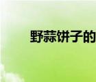 野蒜餅子的做法（野蒜怎么做好吃）