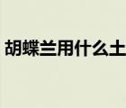 胡蝶蘭用什么土栽培（蝴蝶蘭用什么土栽培）