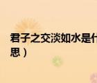 君子之交淡如水是什么意思評(píng)論（君子之交淡如水是什么意思）
