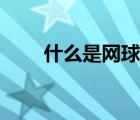 什么是網(wǎng)球肘實驗（什么是網(wǎng)球肘）