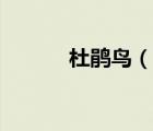 杜鵑鳥（說一說杜鵑鳥的簡(jiǎn)介）