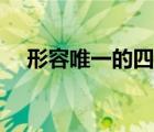 形容唯一的四字詞語（形容唯一的成語）