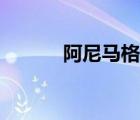 阿尼馬格斯答題（阿尼馬格斯）