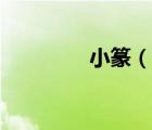 小篆（說一說小篆的簡(jiǎn)介）