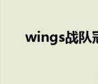 wings戰(zhàn)隊(duì)冠軍主題曲（wings戰(zhàn)隊(duì)）