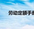 勞動(dòng)定額手冊（勞動(dòng)定額是什么意思）