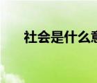 社會是什么意思啊（社會是什么意思）