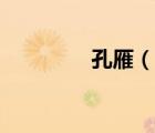 孔雁（說(shuō)一說(shuō)孔雁的簡(jiǎn)介）