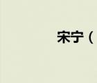 宋寧（說一說宋寧的簡介）