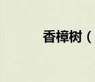 香樟樹（說一說香樟樹的簡介）