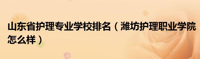 山東省護理專業(yè)學(xué)校排名（濰坊護理職業(yè)學(xué)院怎么樣）