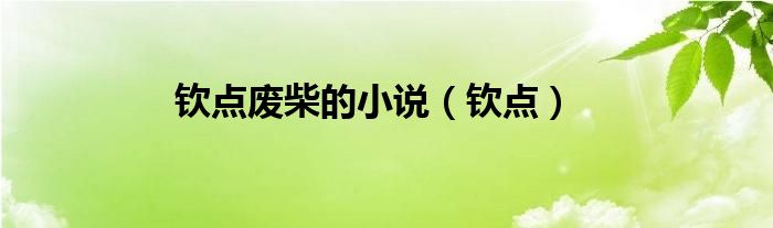 欽點(diǎn)廢柴的小說（欽點(diǎn)）