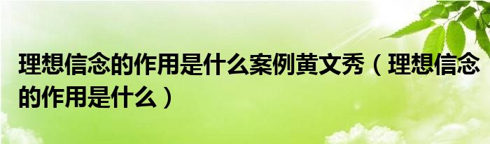 理想信念的作用是什么案例黃文秀（理想信念的作用是什么）