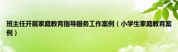班主任開展家庭教育指導服務工作案例（小學生家庭教育案例）