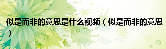 似是而非的意思是什么視頻（似是而非的意思）