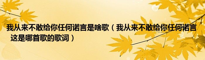 我從來不敢給你任何諾言是啥歌（我從來不敢給你任何諾言   這是哪首歌的歌詞）