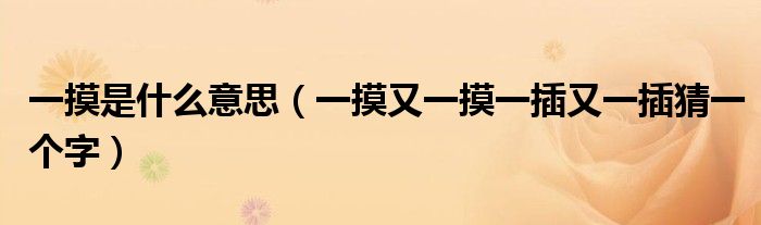 一摸是什么意思（一摸又一摸一插又一插猜一個字）