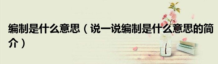 編制是什么意思（說一說編制是什么意思的簡介）