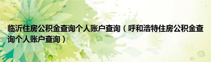 臨沂住房公積金查詢(xún)個(gè)人賬戶(hù)查詢(xún)（呼和浩特住房公積金查詢(xún)個(gè)人賬戶(hù)查詢(xún)）