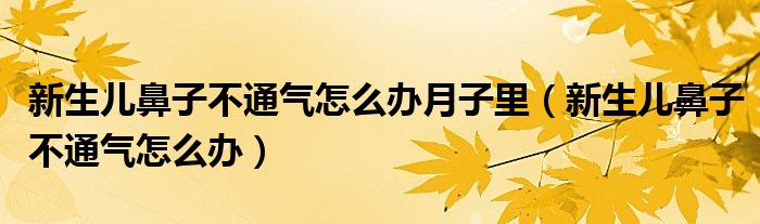 新生兒鼻子不通氣怎么辦月子里（新生兒鼻子不通氣怎么辦）