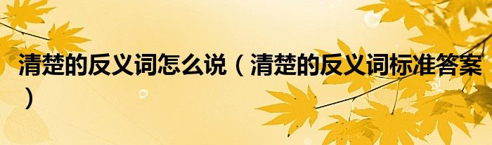 清楚的反義詞怎么說（清楚的反義詞標(biāo)準(zhǔn)答案）