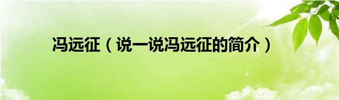 馮遠(yuǎn)征（說一說馮遠(yuǎn)征的簡介）