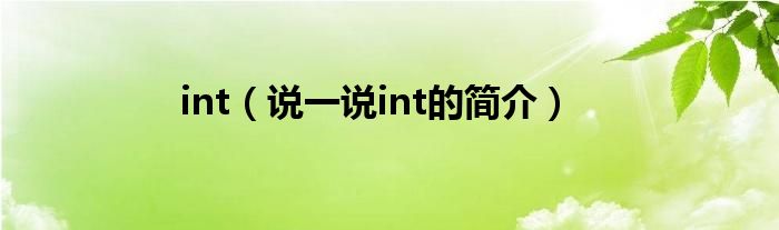 int（說一說int的簡介）
