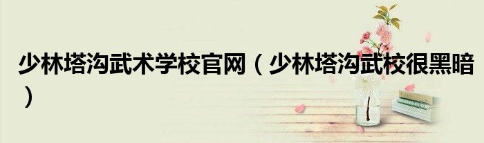 少林塔溝武術(shù)學(xué)校官網(wǎng)（少林塔溝武校很黑暗）