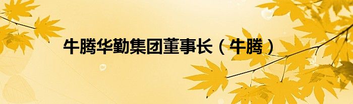 牛騰華勤集團(tuán)董事長(zhǎng)（牛騰）