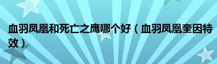 血羽鳳凰和死亡之鷹哪個好（血羽鳳凰奎因特效）