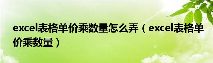 excel表格單價(jià)乘數(shù)量怎么弄（excel表格單價(jià)乘數(shù)量）