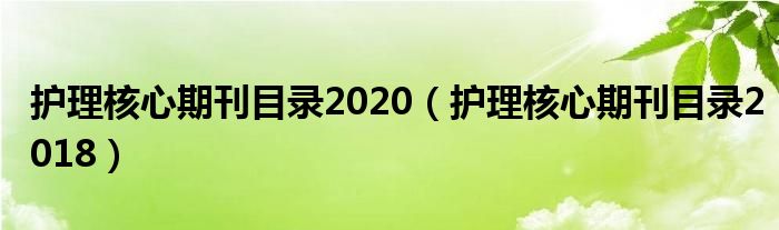 護理核心期刊目錄2020（護理核心期刊目錄2018）
