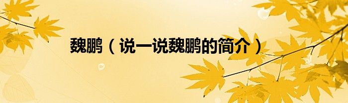 魏鵬（說一說魏鵬的簡介）