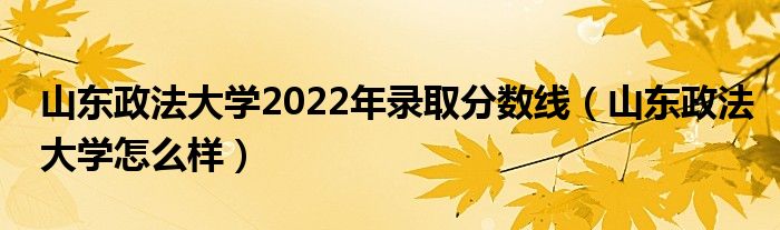 山東政法大學(xué)2022年錄取分數(shù)線（山東政法大學(xué)怎么樣）