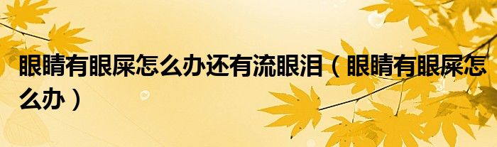 眼睛有眼屎怎么辦還有流眼淚（眼睛有眼屎怎么辦）