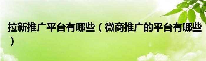 拉新推廣平臺有哪些（微商推廣的平臺有哪些）