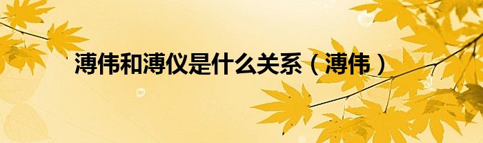 溥偉和溥儀是什么關(guān)系（溥偉）