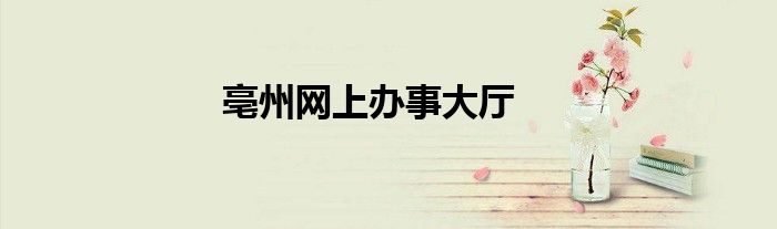 亳州網(wǎng)上辦事大廳