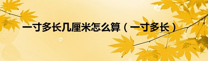 一寸多長(zhǎng)幾厘米怎么算（一寸多長(zhǎng)）