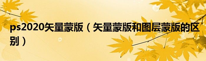 ps2020矢量蒙版（矢量蒙版和圖層蒙版的區(qū)別）