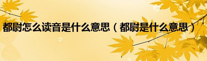 都尉怎么讀音是什么意思（都尉是什么意思）