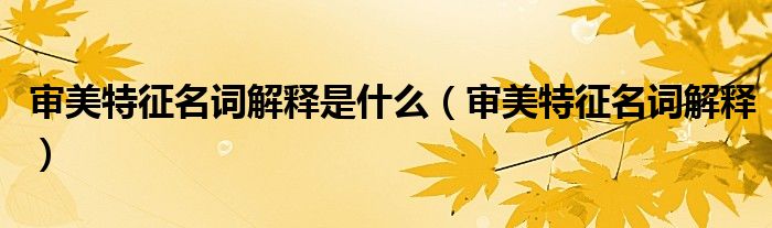 審美特征名詞解釋是什么（審美特征名詞解釋）