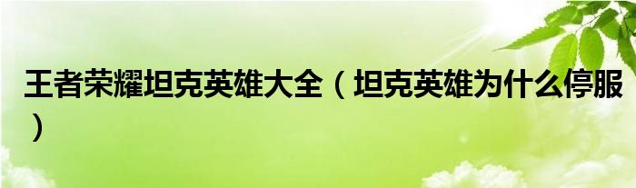 王者榮耀坦克英雄大全（坦克英雄為什么停服）