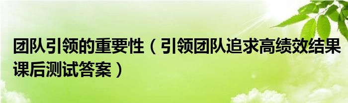 團(tuán)隊(duì)引領(lǐng)的重要性（引領(lǐng)團(tuán)隊(duì)追求高績(jī)效結(jié)果課后測(cè)試答案）