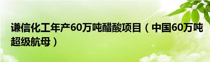 謙信化工年產(chǎn)60萬噸醋酸項(xiàng)目（中國(guó)60萬噸超級(jí)航母）