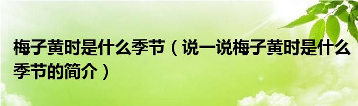 梅子黃時(shí)是什么季節(jié)（說(shuō)一說(shuō)梅子黃時(shí)是什么季節(jié)的簡(jiǎn)介）
